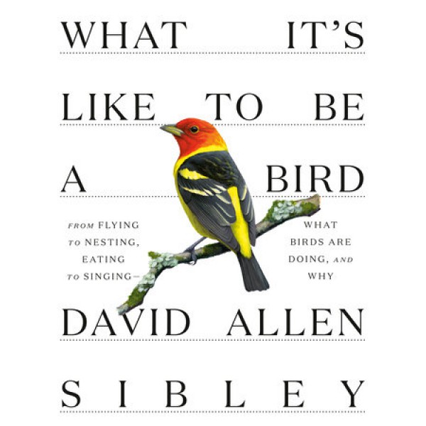 What It’s Like To Be A Bird by David Allen Sibley - ship in 15-30 business days or more, supplied by US partner