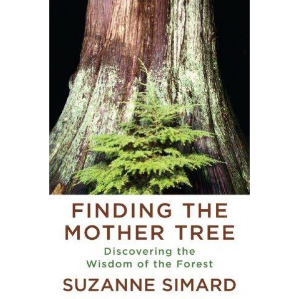 Finding the Mother Tree by Suzanne Simard - ship in 10-20 business days, supplied by US partner