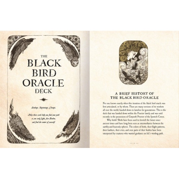 The Black Bird Oracle Deck by Deborah Harkness - ship in 10-20 business days, supplied by US partner