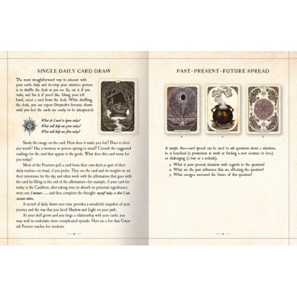 The Black Bird Oracle Deck by Deborah Harkness - ship in 10-20 business days, supplied by US partner