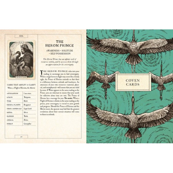 The Black Bird Oracle Deck by Deborah Harkness - ship in 10-20 business days, supplied by US partner