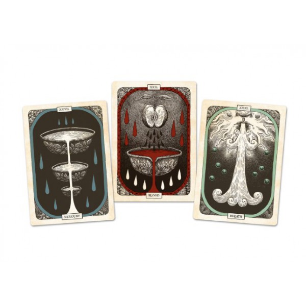 The Black Bird Oracle Deck by Deborah Harkness - ship in 10-20 business days, supplied by US partner