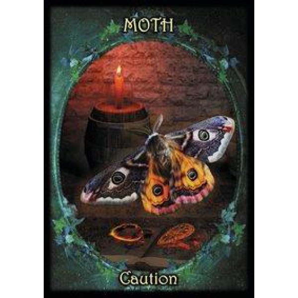 Witches' Familiars Oracle Cards by Barbara Meiklejohn-Free, Flavia Kate Peters, and Kate Osborne - ship in 10-20 business days, supplied by US partner