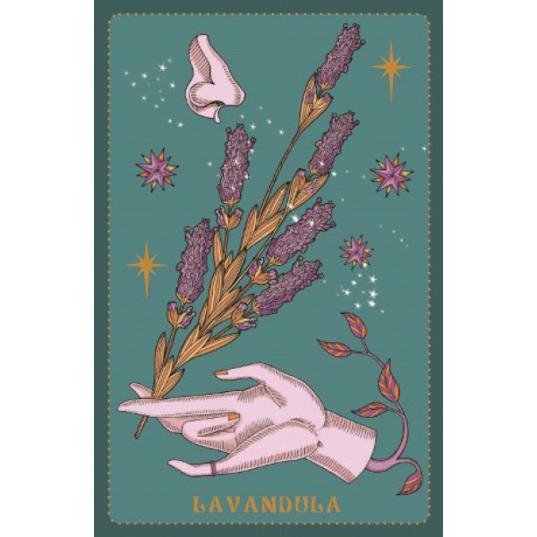 Herbarium Oracle by Stregadellemele and Elisa Seitzinger - ship in 10-20 business days, supplied by US partner