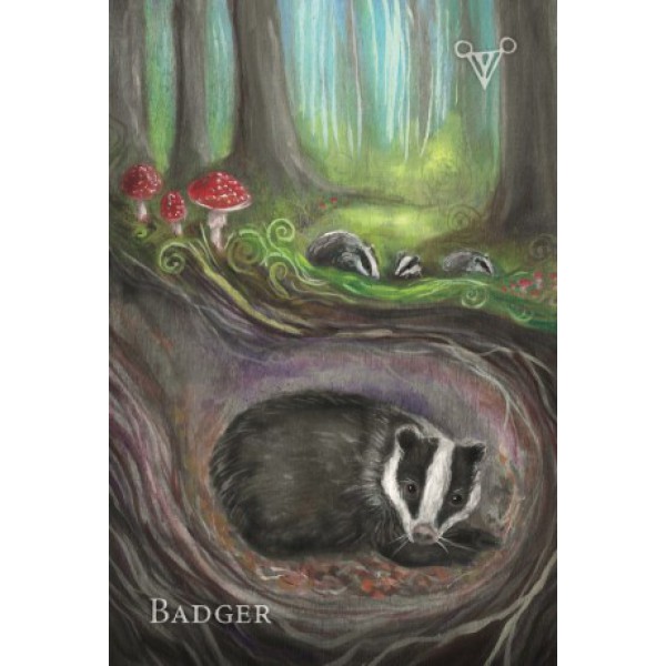 A Witch's Ally Oracle by Dodie Graham McKay - ship in 10-20 business days, supplied by US partner