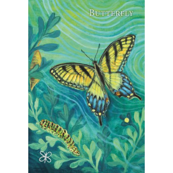 A Witch's Ally Oracle by Dodie Graham McKay - ship in 10-20 business days, supplied by US partner