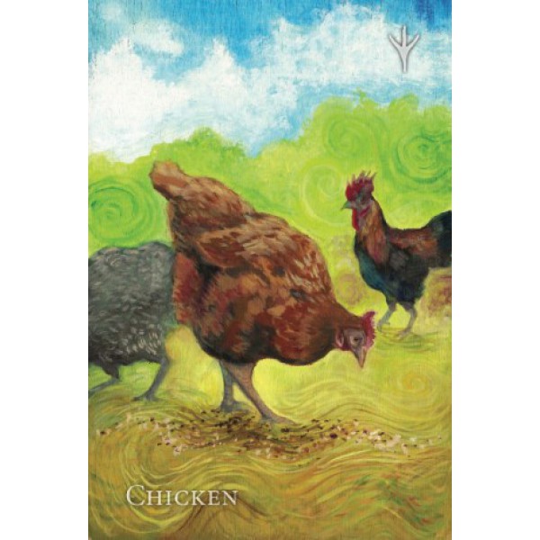 A Witch's Ally Oracle by Dodie Graham McKay - ship in 10-20 business days, supplied by US partner