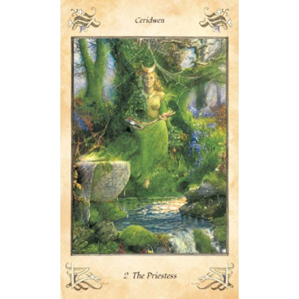 The Llewellyn Tarot: Updated and Enhanced 20th Anniversary Edition by Anna-Marie Ferguson - ship in 10-20 business days, supplied by US partner