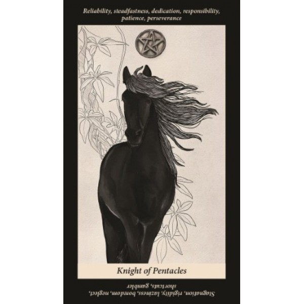 Soul Reflections Tarot by Sunshine Connelly - ship in 10-20 business days, supplied by US partner