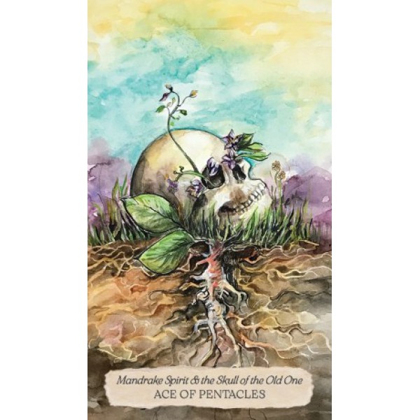 Bonestone & Earthflesh Tarot by Avalon Cameron - ship in 10-20 business days, supplied by US partner