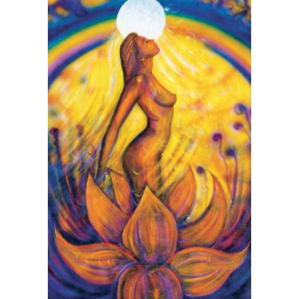 The Tarot of Light Pocket Edition by Denise Jarvie - ship in 10-20 business days, supplied by US partner