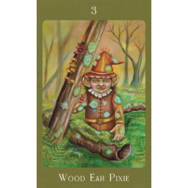 Mushroom Folk Oracle by Sharon McLeod - ship in 10-20 business days, supplied by US partner