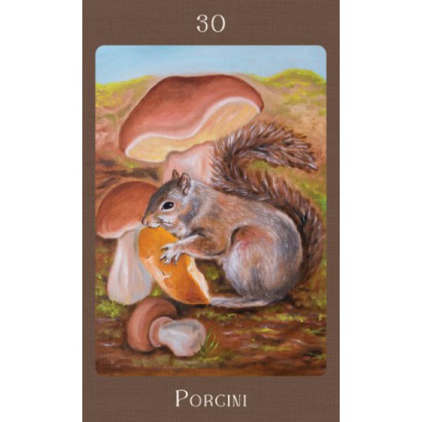 Mushroom Folk Oracle by Sharon McLeod - ship in 10-20 business days, supplied by US partner