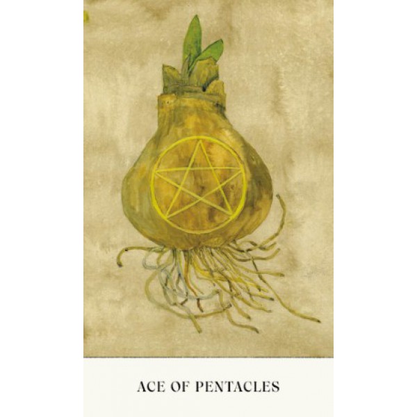 Soul Tarot by Lindsay Mack - ship in 10-20 business days, supplied by US partner