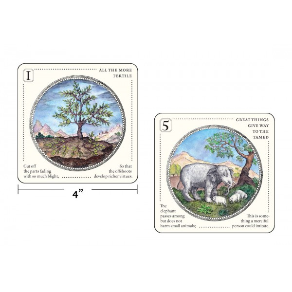 Symbolorum Oracle Cards by Mandy Aftel - ship in 10-20 business days, supplied by US partner