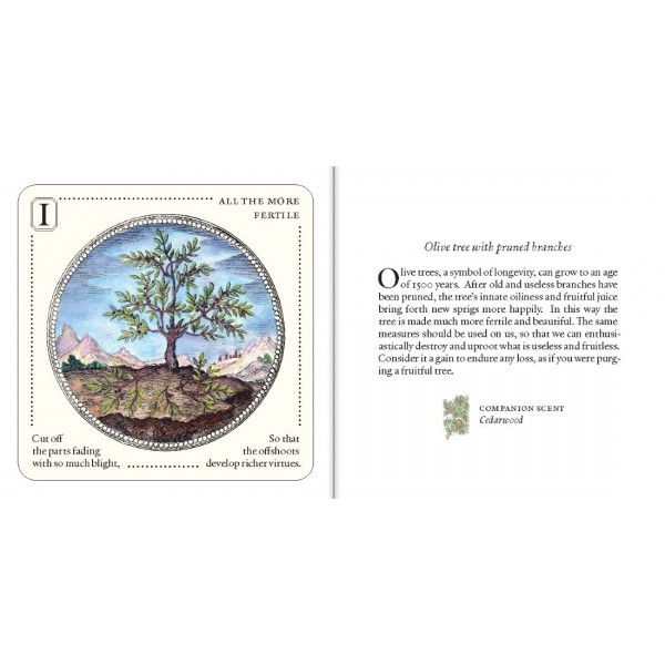 Symbolorum Oracle Cards by Mandy Aftel - ship in 10-20 business days, supplied by US partner