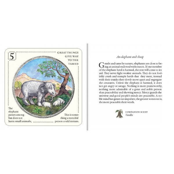 Symbolorum Oracle Cards by Mandy Aftel - ship in 10-20 business days, supplied by US partner