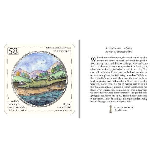 Symbolorum Oracle Cards by Mandy Aftel - ship in 10-20 business days, supplied by US partner
