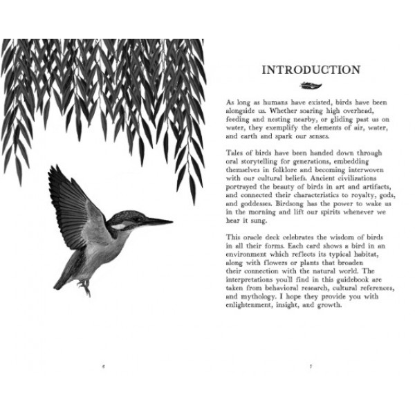 The Wisdom of Birds by Raxenne Maniquiz - ship in 10-20 business days, supplied by US partner