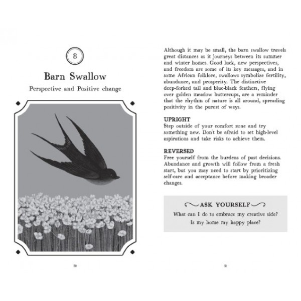 The Wisdom of Birds by Raxenne Maniquiz - ship in 10-20 business days, supplied by US partner