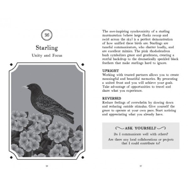 The Wisdom of Birds by Raxenne Maniquiz - ship in 10-20 business days, supplied by US partner