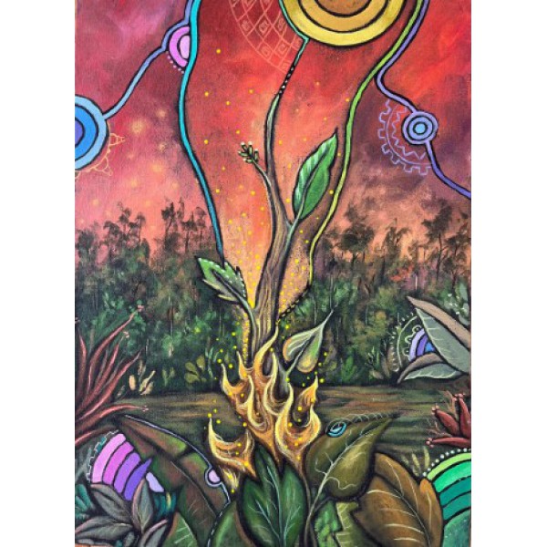 The Shaman's Tarot by Alberto Villoldo - ship in 10-20 business days, supplied by US partner