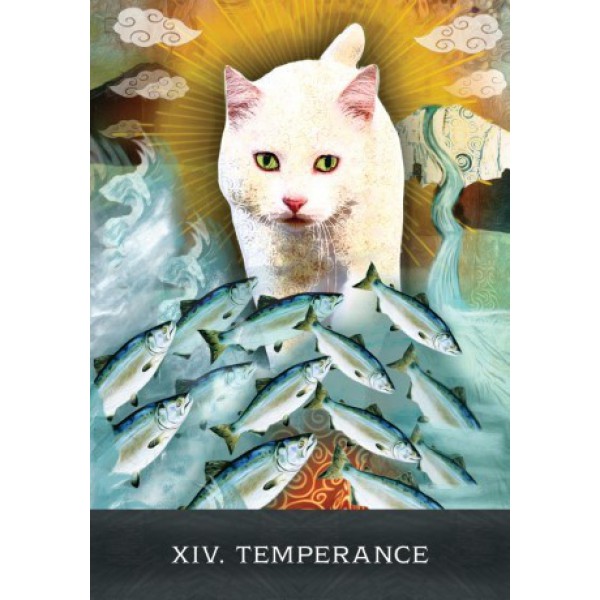 Grimalkin's Curious Cats Tarot by Mj Cullinane - ship in 10-20 business days, supplied by US partner