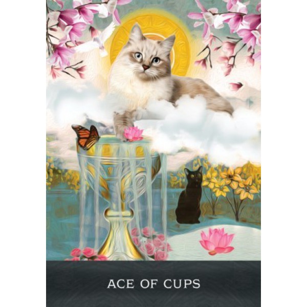 Grimalkin's Curious Cats Tarot by Mj Cullinane - ship in 10-20 business days, supplied by US partner