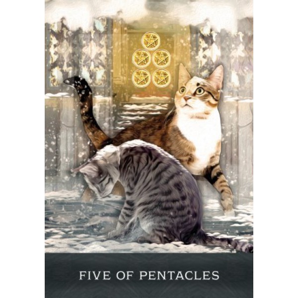 Grimalkin's Curious Cats Tarot by Mj Cullinane - ship in 10-20 business days, supplied by US partner