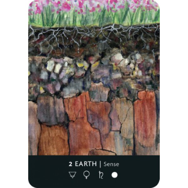 The Ritual Deck by Cassie Uhl - ship in 10-20 business days, supplied by US partner