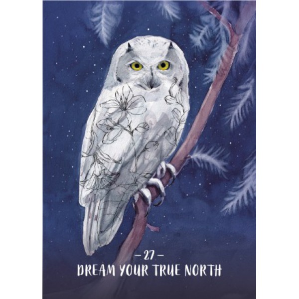 Sisterhood of the Seers Oracle by Athena Laz - ship in 10-20 business days, supplied by US partner