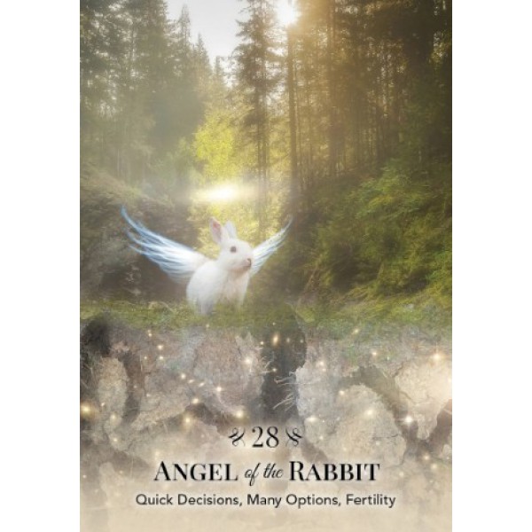 Angels of Nature Oracle by Sandra Anne Taylor - ship in 10-20 business days, supplied by US partner