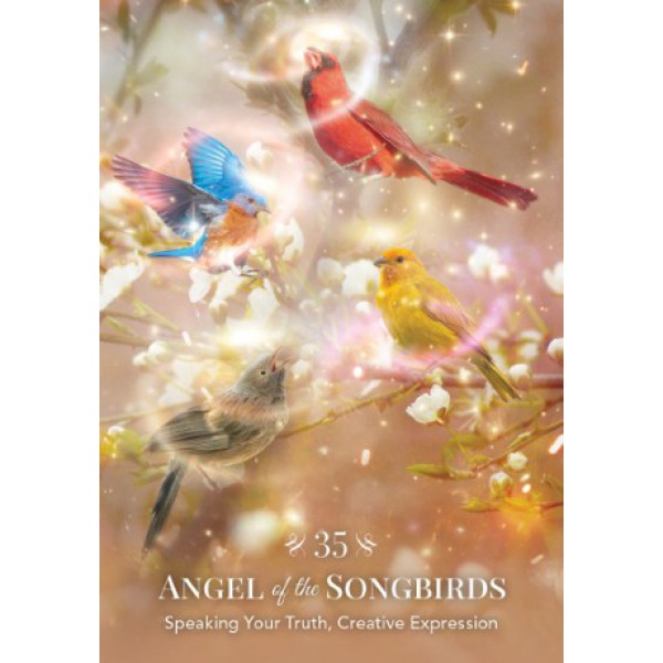 Angels of Nature Oracle by Sandra Anne Taylor - ship in 10-20 business days, supplied by US partner