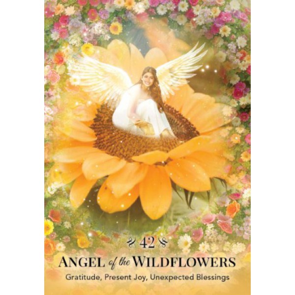 Angels of Nature Oracle by Sandra Anne Taylor - ship in 10-20 business days, supplied by US partner