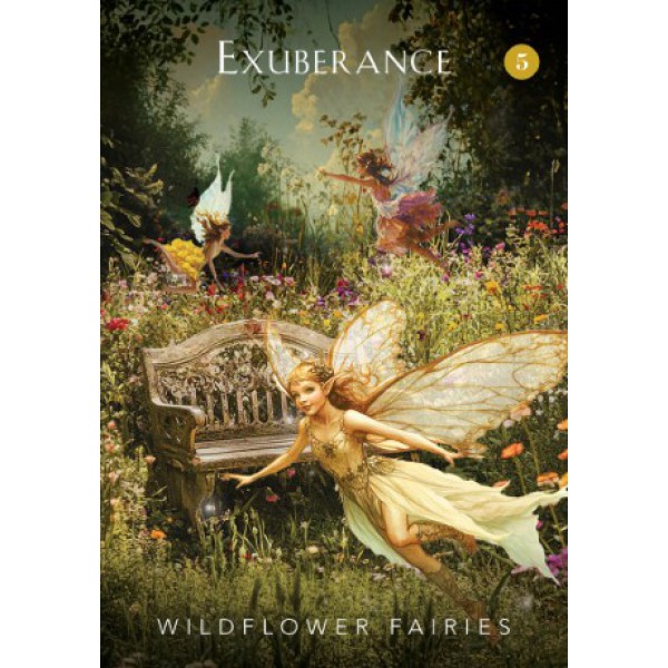 The Mystical Garden Oracle by Denise Linn - ship in 10-20 business days, supplied by US partner