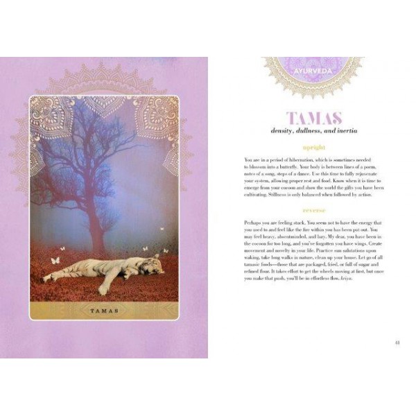 A Yogic Path Oracle Deck and Guidebook (Keepsake Box Set) by Sahara Rose Ketabi and Danielle Noel  - ship in 10-20 business days, supplied by US partner