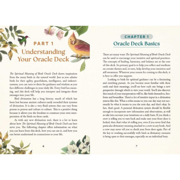 The Spiritual Meaning of Birds Oracle Deck by Arin Murphy-Hiscock - ship in 10-20 business days, supplied by US partner