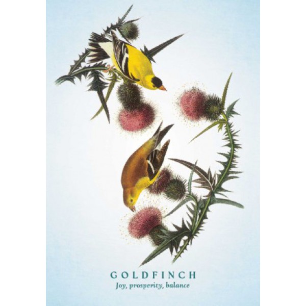 The Spiritual Meaning of Birds Oracle Deck by Arin Murphy-Hiscock - ship in 10-20 business days, supplied by US partner