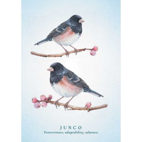 The Spiritual Meaning of Birds Oracle Deck by Arin Murphy-Hiscock - ship in 10-20 business days, supplied by US partner