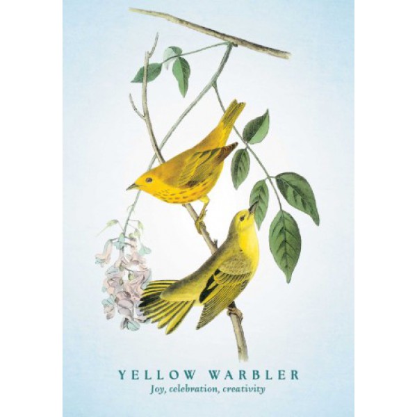 The Spiritual Meaning of Birds Oracle Deck by Arin Murphy-Hiscock - ship in 10-20 business days, supplied by US partner