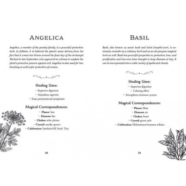 Green Witch's Deck of Magical Herbalism by Arin Murphy-Hiscock - ship in 10-20 business days, supplied by US partner