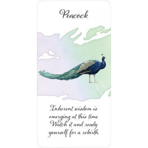 Divine Feather Messenger by Alison Denicola - ship in 10-20 business days, supplied by US partner