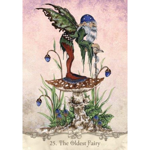 Fairy Wisdom Oracle Deck and Book Set by Amy Brown - ship in 10-20 business days, supplied by US partner