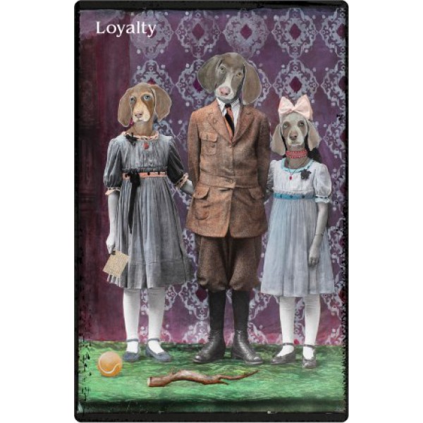 Oracle of Rewilding by Alexandra Eldridge - ship in 10-20 business days, supplied by US partner