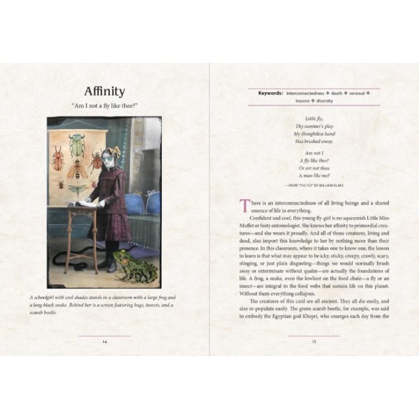 Oracle of Rewilding by Alexandra Eldridge - ship in 10-20 business days, supplied by US partner