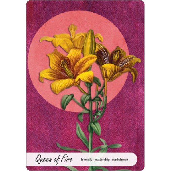 Wise Earth Medicine Tarot by Lalania Simone - ship in 10-20 business days, supplied by US partner