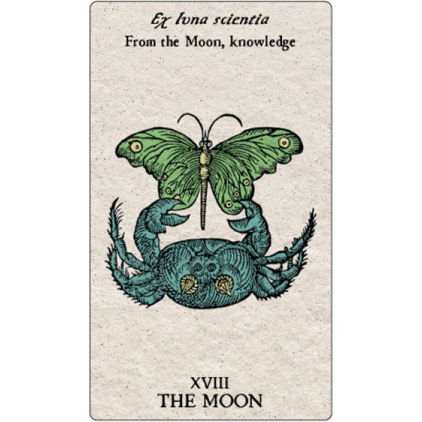 Tarot Emblemata by Nitasia Roland - ship in 10-20 business days, supplied by US partner