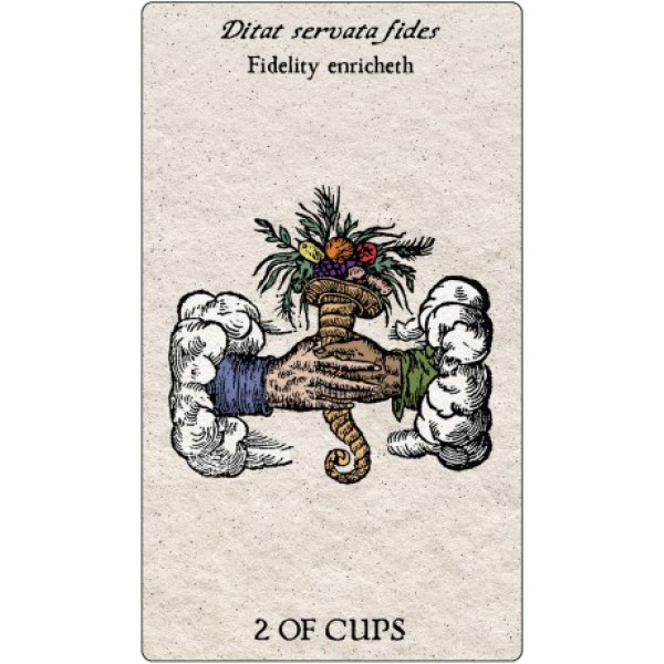 Tarot Emblemata by Nitasia Roland - ship in 10-20 business days, supplied by US partner