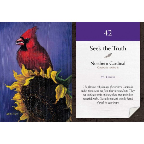 Bird Vibes Meditation Cards by Catherine C. Bastedo and Heather Bale - ship in 10-20 business days, supplied by US partner