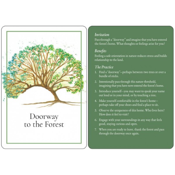 An Invitation to Forest Bathing by Lissa Kennedy - ship in 10-20 business days, supplied by US partner